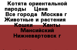 Котята ориентальной пароды  › Цена ­ 12 000 - Все города, Москва г. Животные и растения » Кошки   . Ханты-Мансийский,Нижневартовск г.